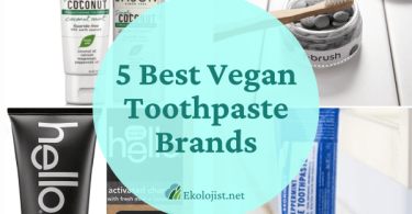 best vegan toothpaste