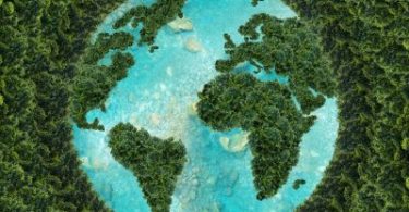 environmental sustainability