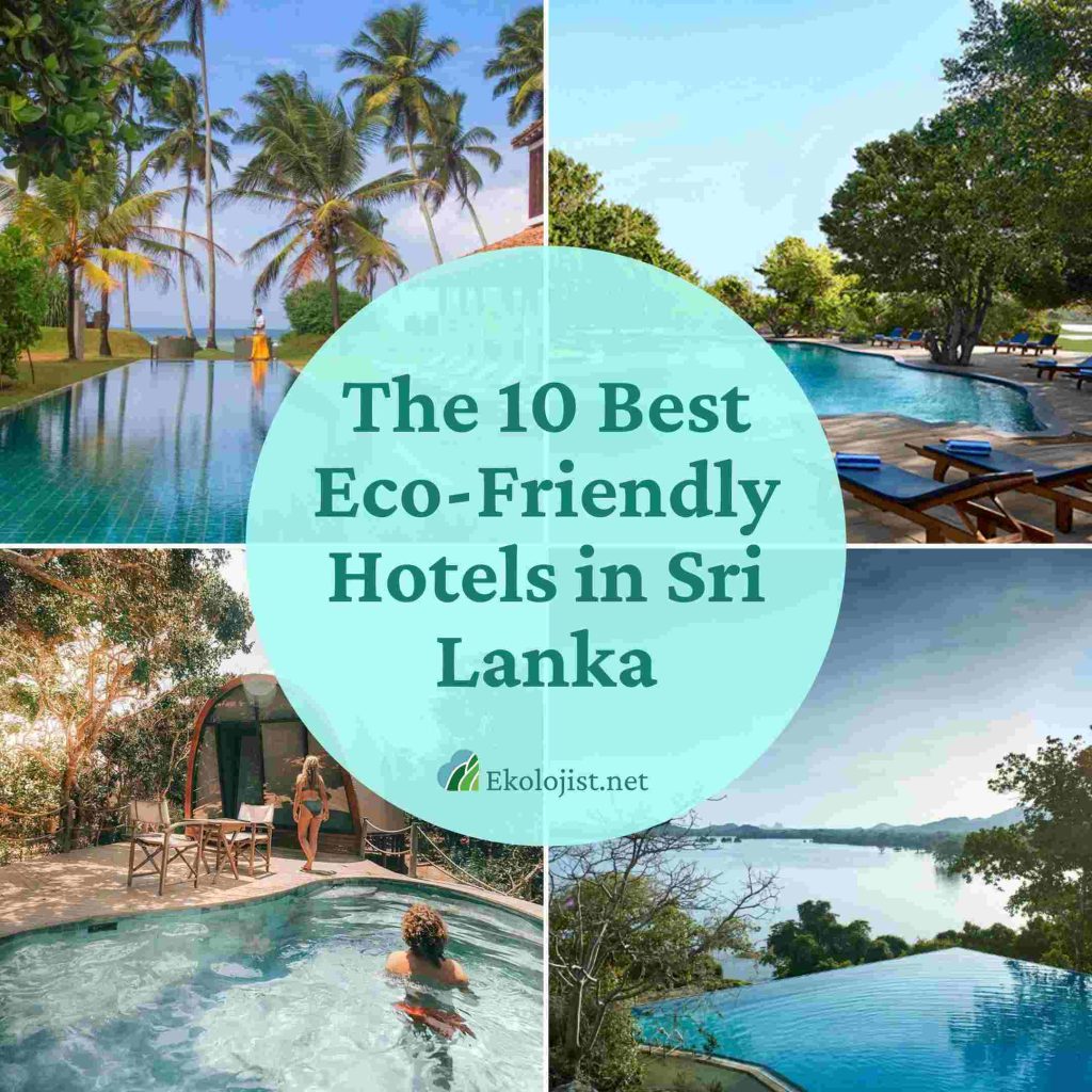 best eco friendly hotels in sri lanka
