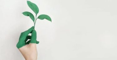 what does eco friendly mean