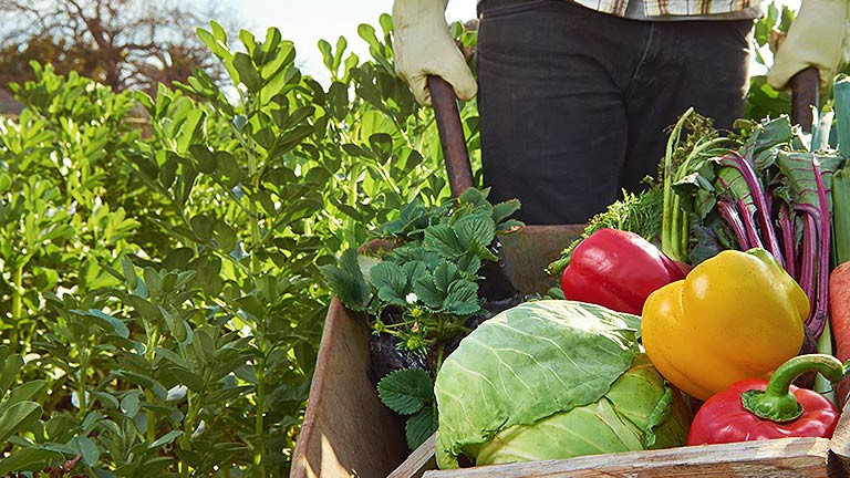 gıdada-sürdürülebilirlik