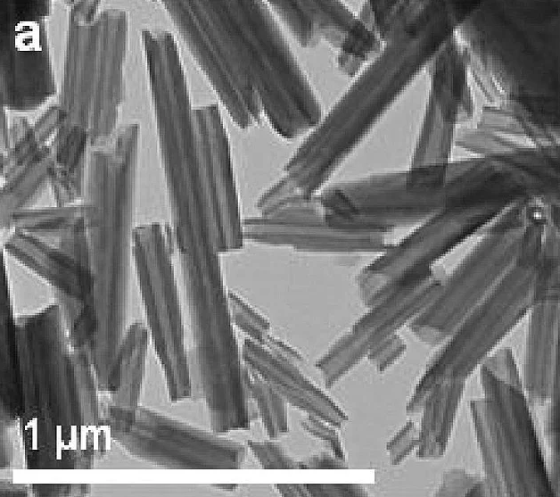food bioprocess technology
