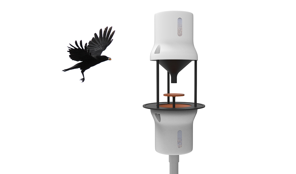 çöp toplayan kargalar