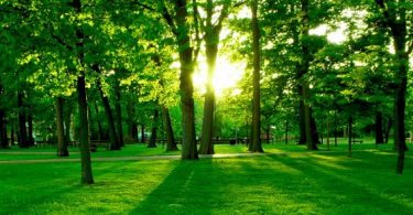 sürdürülebilirlik kavramı