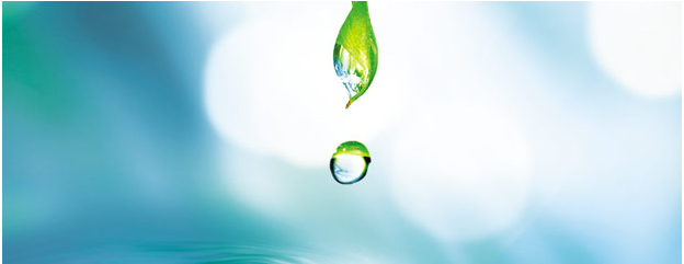 sürdürülebilirlik raporu