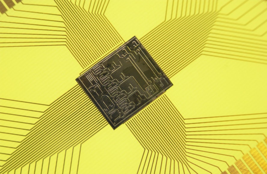 güneş pili biyolojik