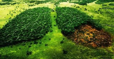 ormanları koruma