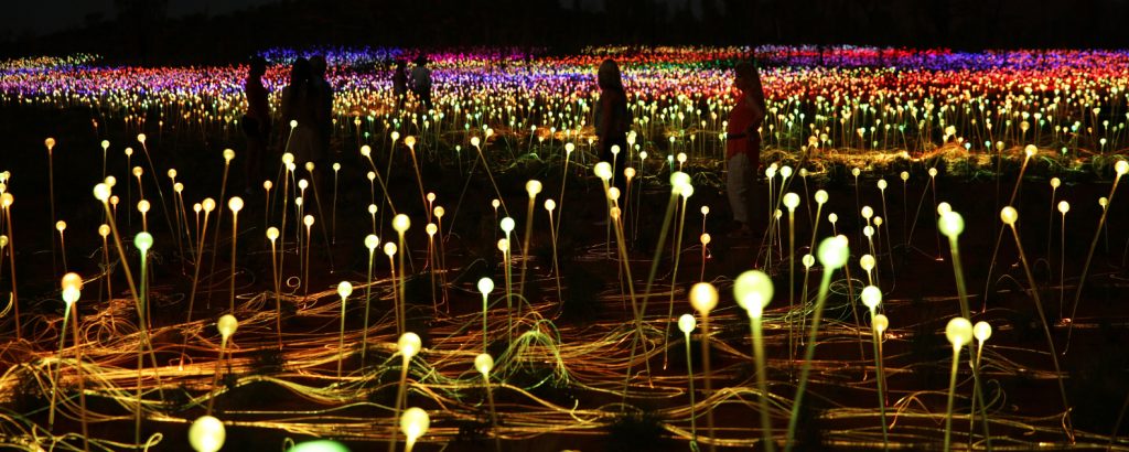 bruce munro