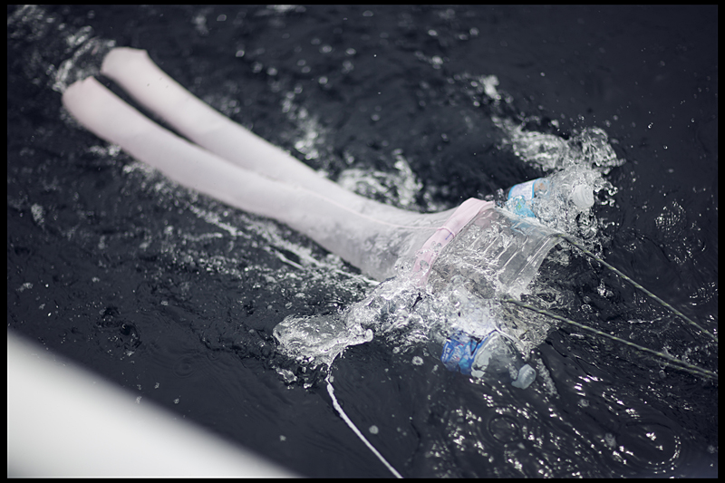 denizlerdeki plastik kirliligi