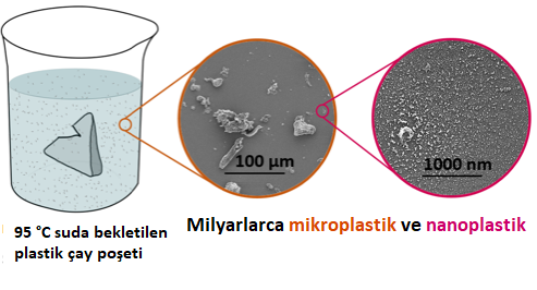 mikroplastik tehlikesi