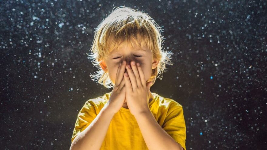 mikroplastik sağlığa zararları