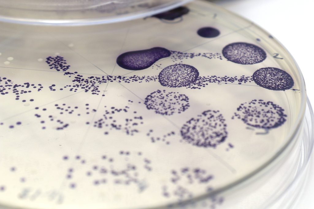 sürdürülebilir tekstil